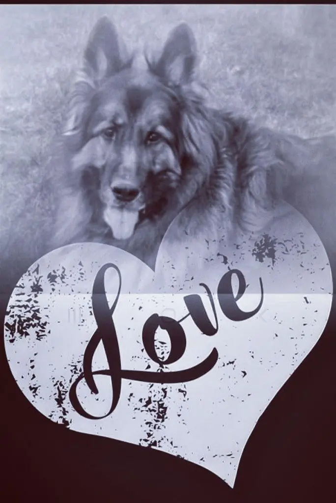 Condolence image of Ellen mit Lina ❤️