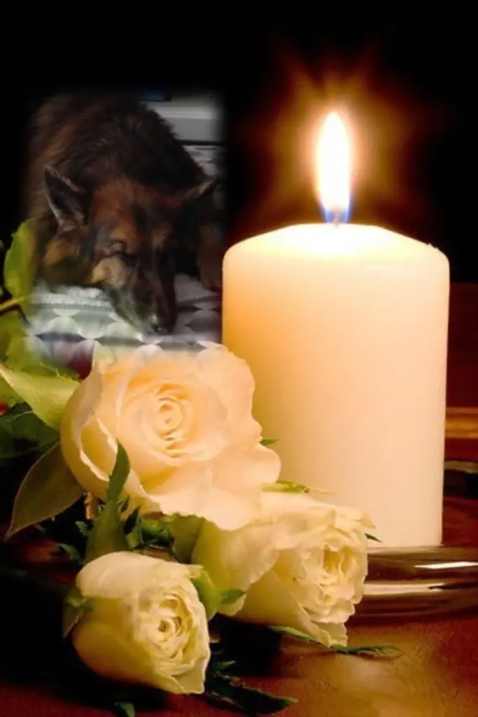 Condolence image of Dobrej Nocki Ukochany Misieńku❤️❤️❤️