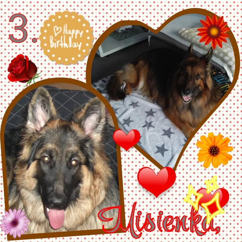 Condolence image of ❤Eike und Edeltraud mit unseren 7 Sternchen tief im Herzen ❤❤❤❤❤❤❤