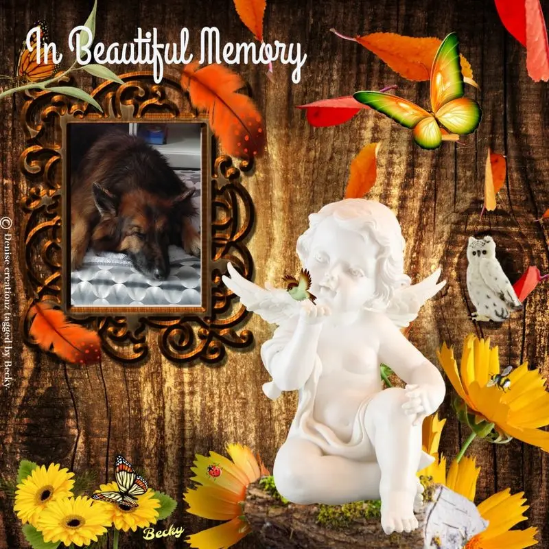 Condolence image of Dobrej Nocki Ukochany Misieńku❤️❤️❤️
