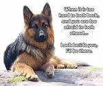 Condolence image of Tanja mit Timmy im Herzen