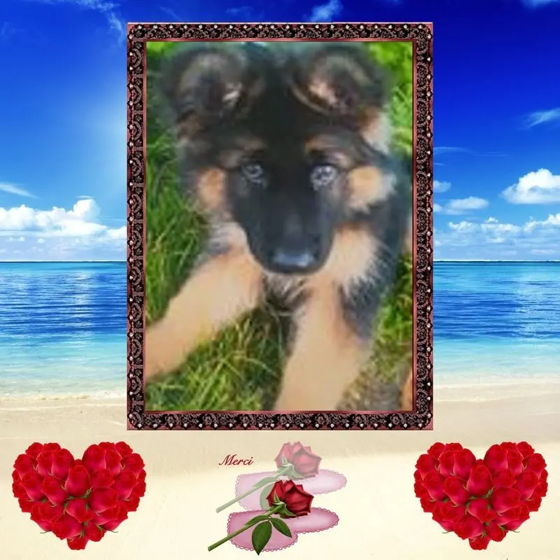 Condolence image of Dzień Dobry mój Ukochany❤️❤️❤️Misieńku❤️❤️❤️