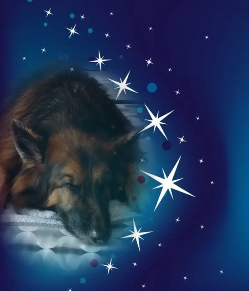Condolence image of Unbekannt