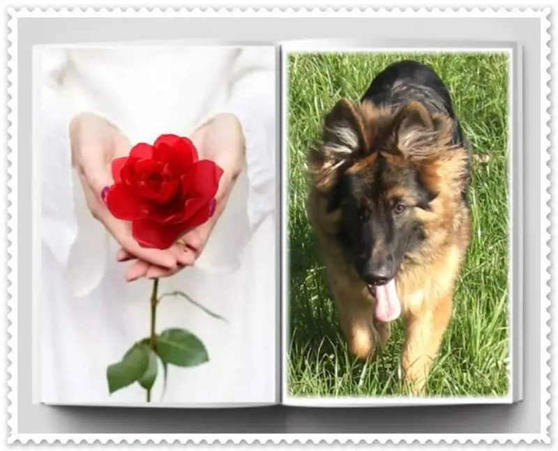 Condolence image of Dzień Dobry mój Ukochany❤️❤️❤️Misieńku❤️❤️❤️