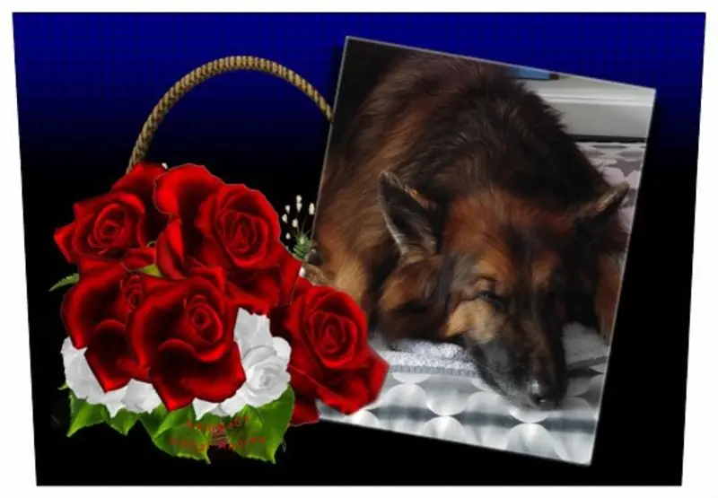 Condolence image of Dobrej Nocki Ukochany Misieńku❤️❤️❤️