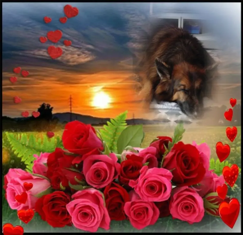 Condolence image of Dobrej Nocki Ukochany Misieńku❤️❤️❤️