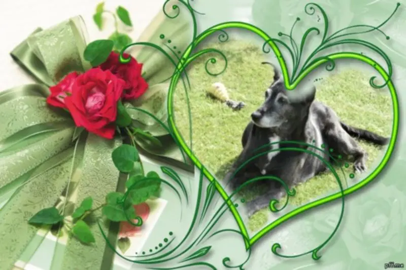 Condolence image of Unbekannt