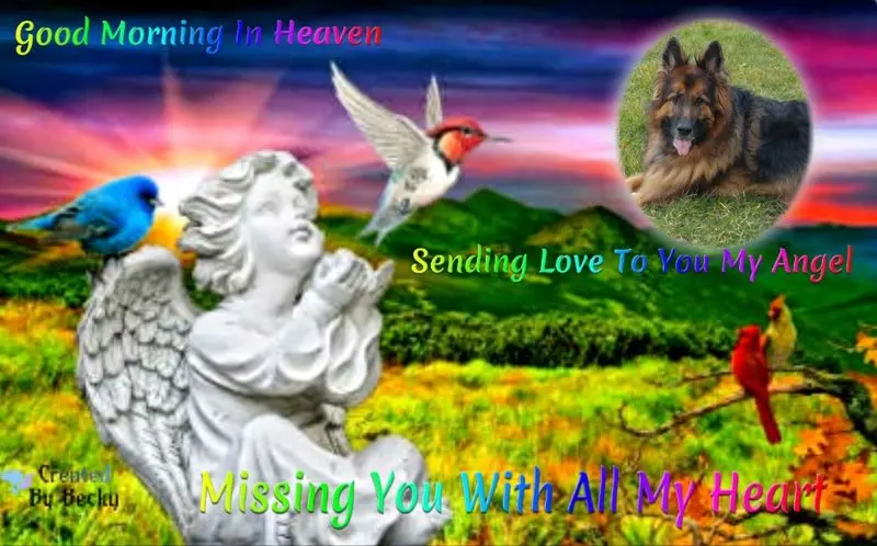 Condolence image of Dzień Dobry mój Ukochany❤️❤️❤️Misieńku❤️❤️❤️