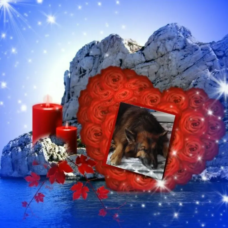 Condolence image of Dobrej Nocki Ukochany Misieńku❤️❤️❤️