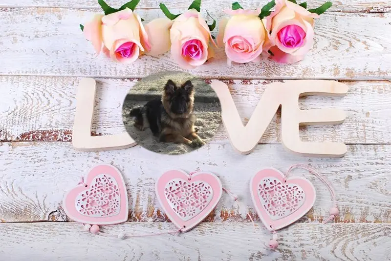 Condolence image of Dzień Dobry mój Ukochany❤️❤️❤️Misieńku❤️❤️❤️
