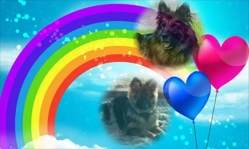 Condolence image of Dzień Dobry mój Ukochany❤️❤️❤️Misieńku❤️❤️❤️