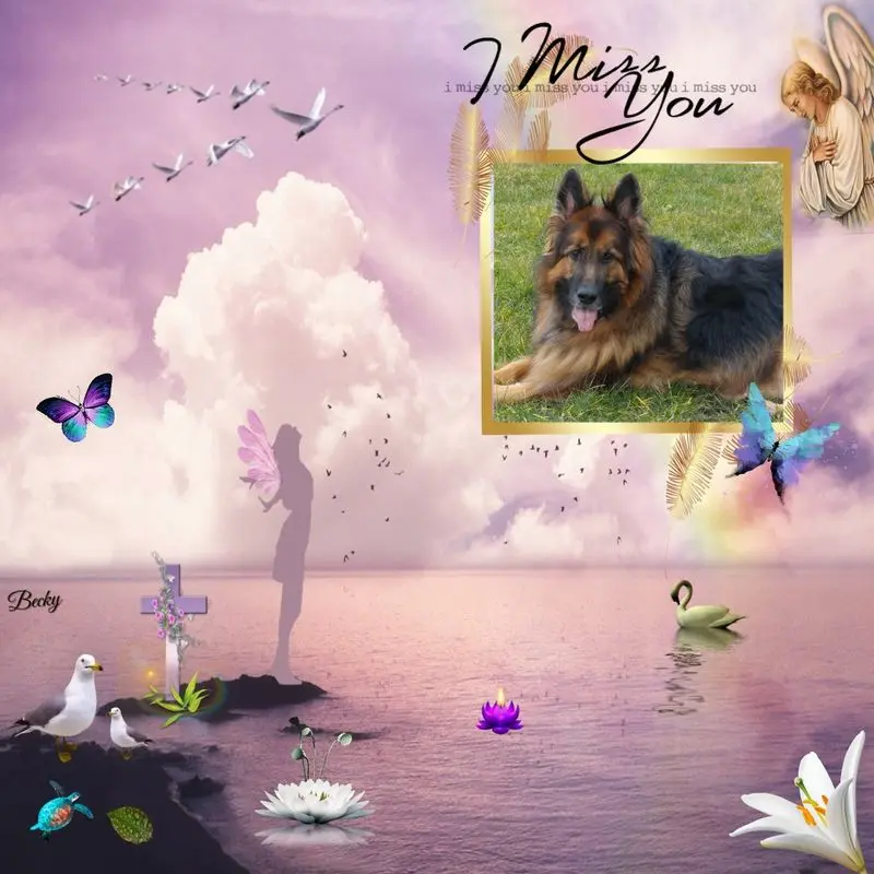 Condolence image of Dzień Dobry mój Ukochany❤️❤️❤️Misieńku❤️❤️❤️