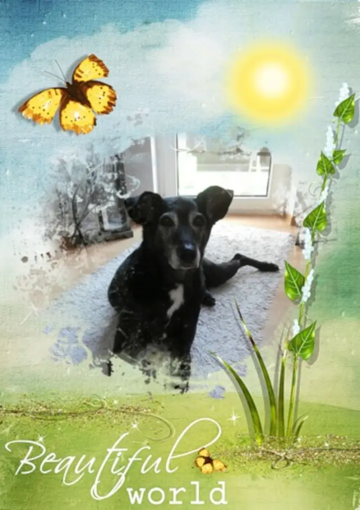 Condolence image of Unbekannt