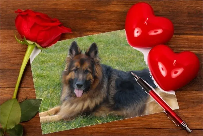 Condolence image of Dzień Dobry mój Ukochany❤️❤️❤️Misieńku❤️❤️❤️