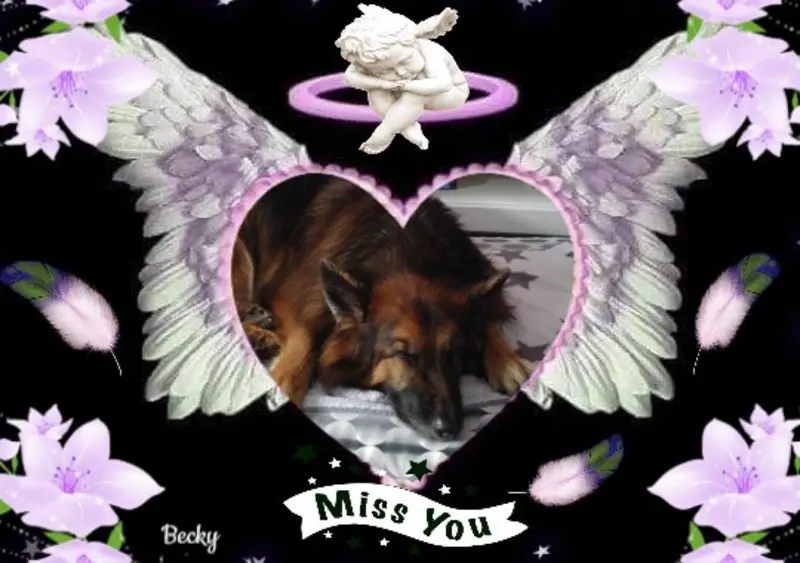 Condolence image of Dobrej Nocki Ukochany Misieńku❤️❤️❤️