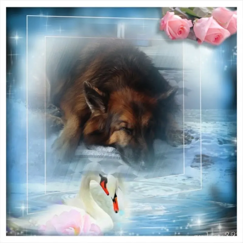 Condolence image of Dobrej Nocki Ukochany Misieńku❤️❤️❤️