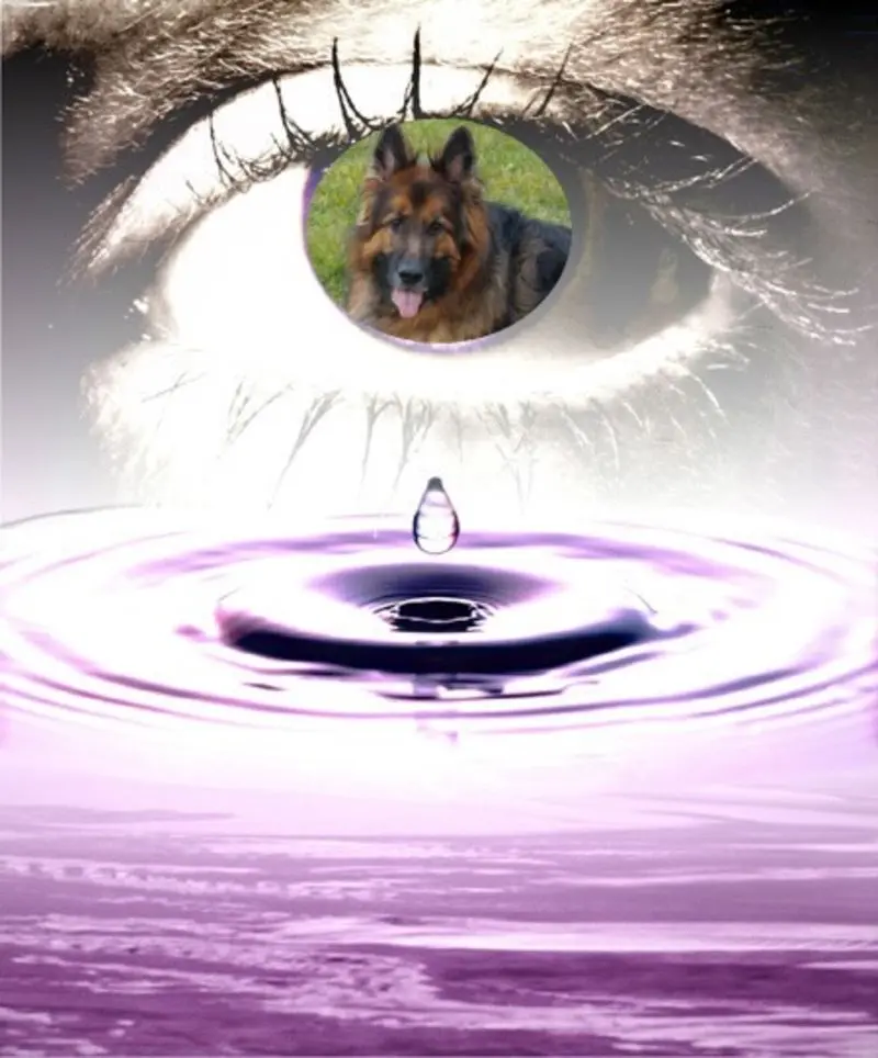Condolence image of Dzień Dobry mój Ukochany❤️❤️❤️Misieńku❤️❤️❤️