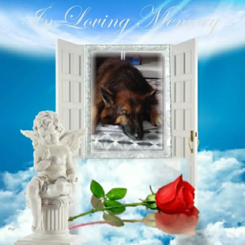 Condolence image of Dobrej Nocki Ukochany Misieńku❤️❤️❤️