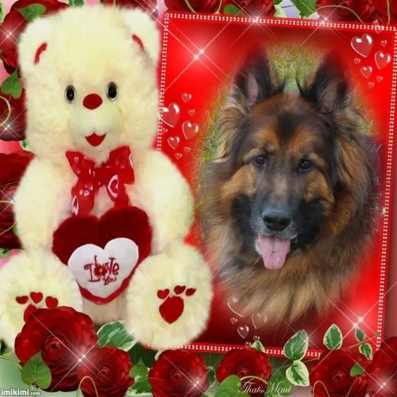 Condolence image of Dobry Wieczór❤️❤️❤️mój Misieńku❤️❤️❤️