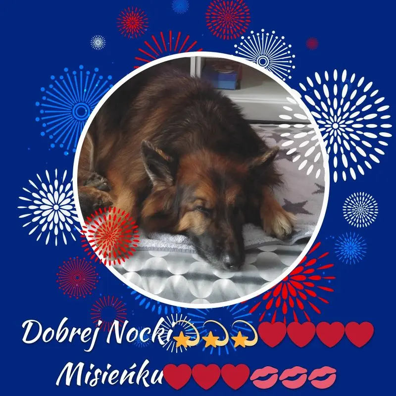 Condolence image of Dobrej Nocki Ukochany Misieńku❤️❤️❤️