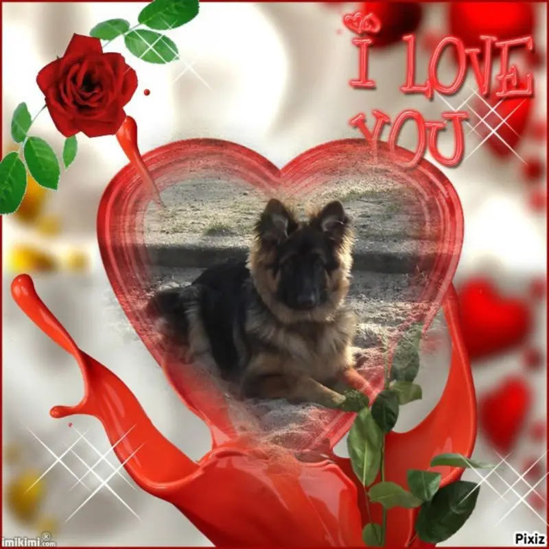 Condolence image of Dzień Dobry mój Ukochany❤️❤️❤️Misieńku❤️❤️❤️