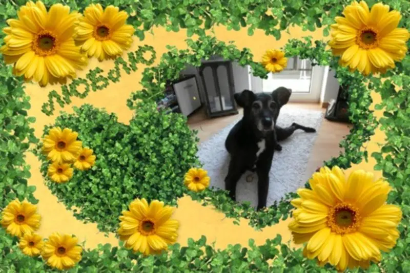 Condolence image of Unbekannt