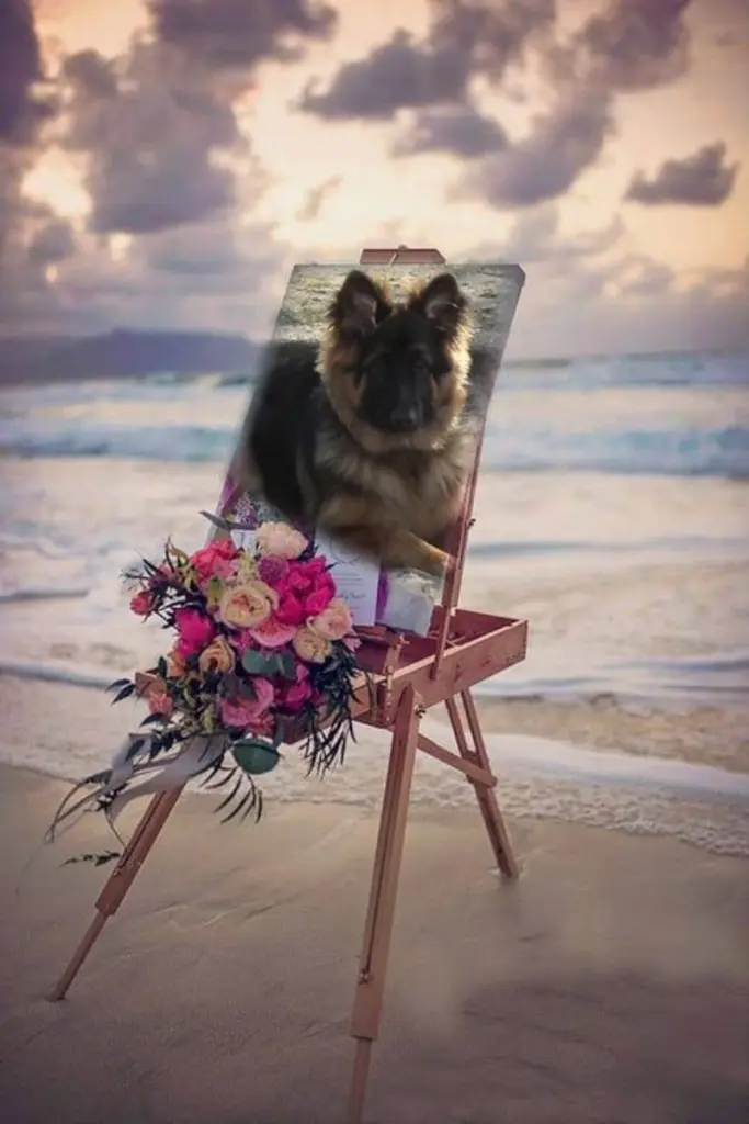 Condolence image of Dobry Wieczór❤️❤️❤️mój Misieńku❤️❤️❤️