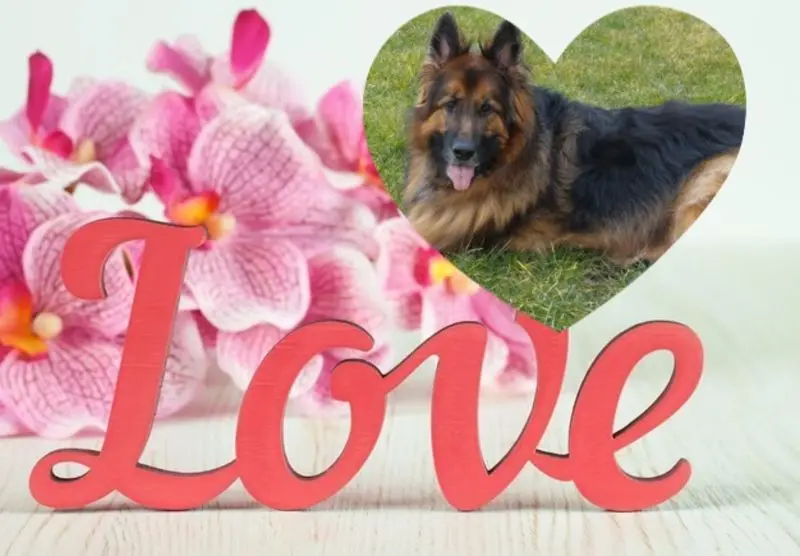 Condolence image of Dzień Dobry mój Ukochany❤️❤️❤️Misieńku❤️❤️❤️