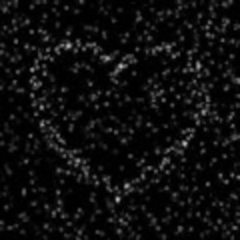 Condolence image of Unbekannt