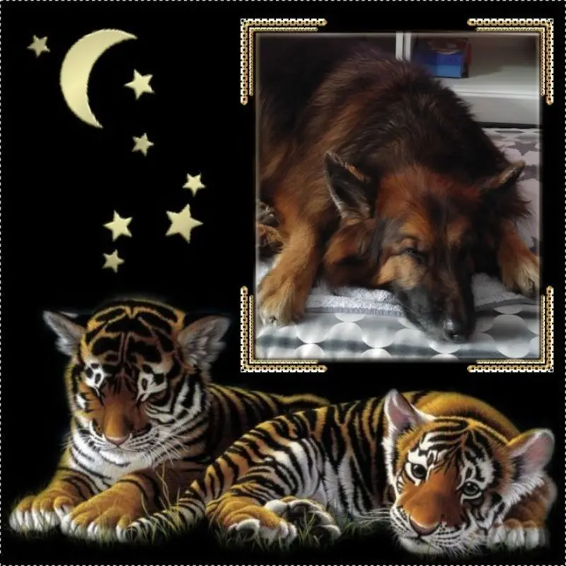 Condolence image of Dobrej Nocki Ukochany Misieńku❤️❤️❤️