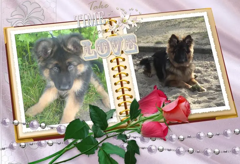 Condolence image of Dzień Dobry mój Ukochany❤️❤️❤️Misieńku❤️❤️❤️