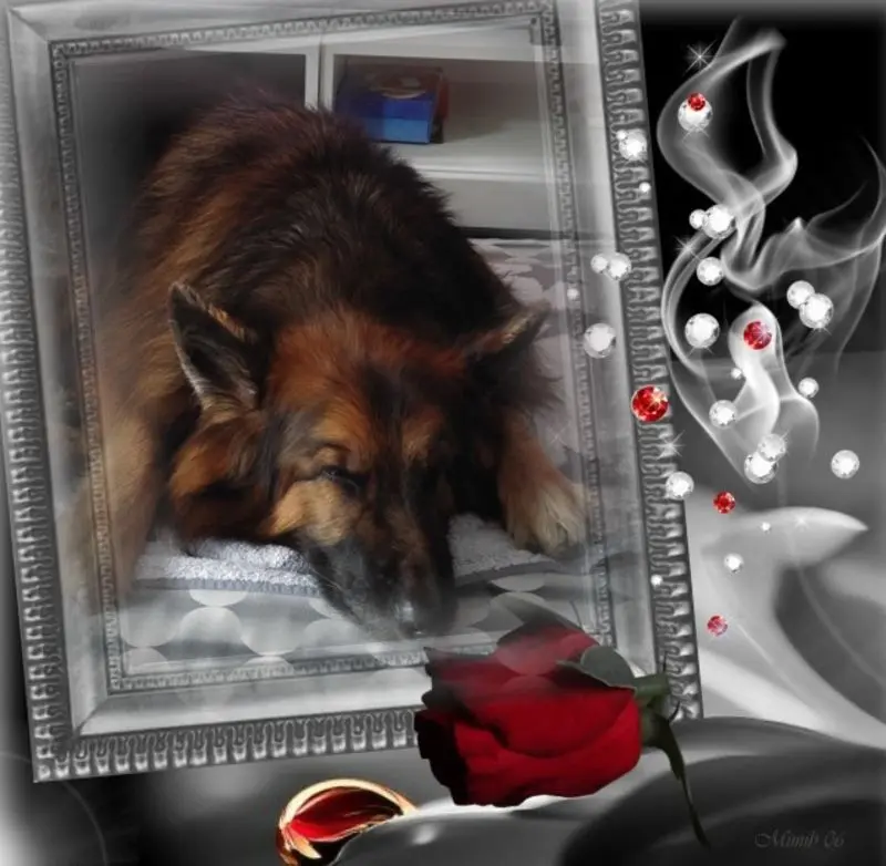 Condolence image of Dobrej Nocki Ukochany Misieńku❤️❤️❤️