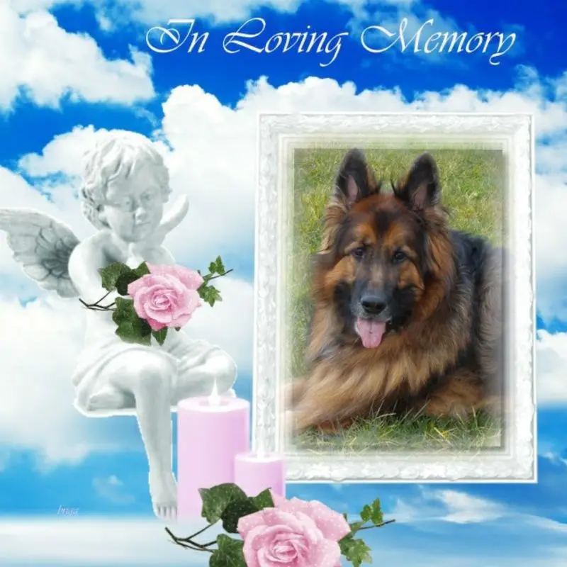 Condolence image of Dzień Dobry mój Ukochany❤️❤️❤️Misieńku❤️❤️❤️