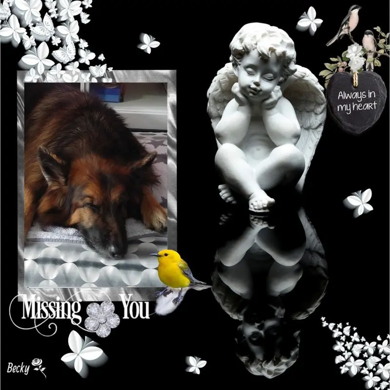 Condolence image of Dobrej Nocki Ukochany Misieńku❤️❤️❤️