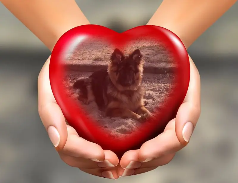 Condolence image of Dzień Dobry mój Ukochany❤️❤️❤️Misieńku❤️❤️❤️