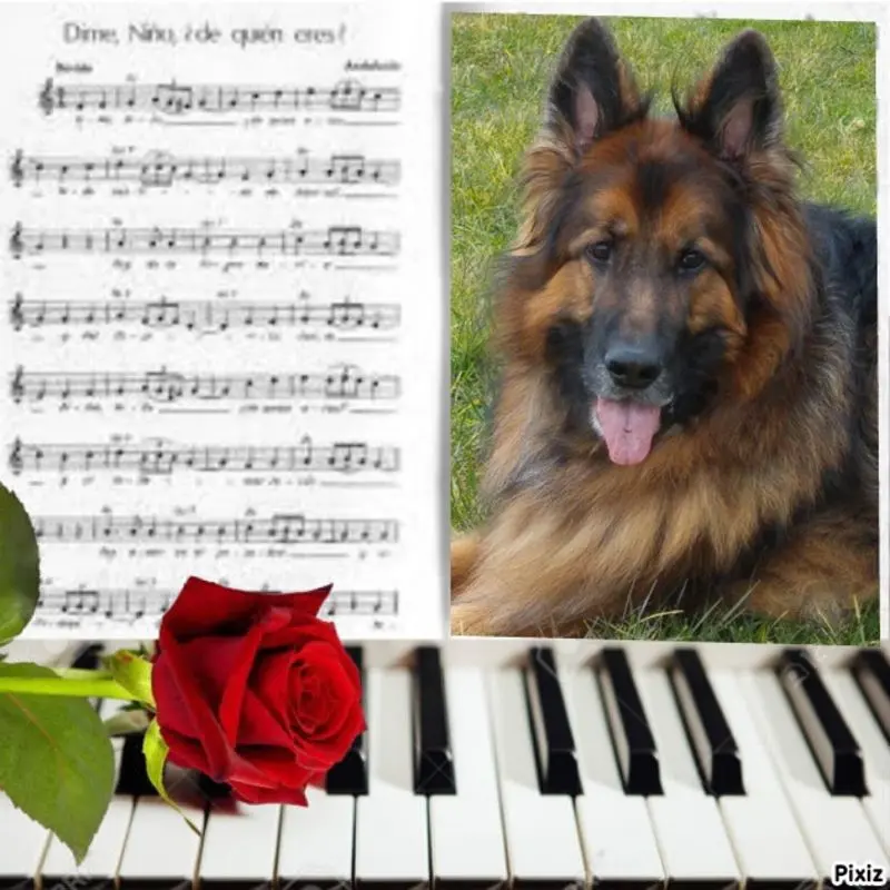 Condolence image of Dzień Dobry mój Ukochany❤️❤️❤️Misieńku❤️❤️❤️