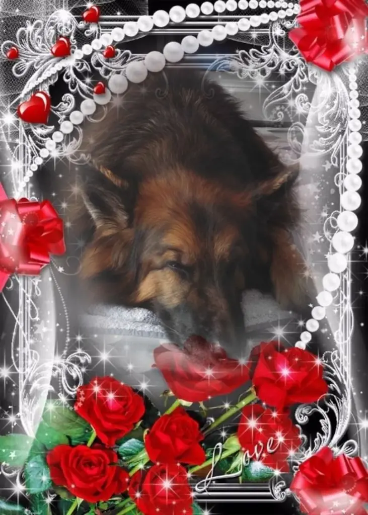 Condolence image of Dobrej Nocki Ukochany Misieńku❤️❤️❤️
