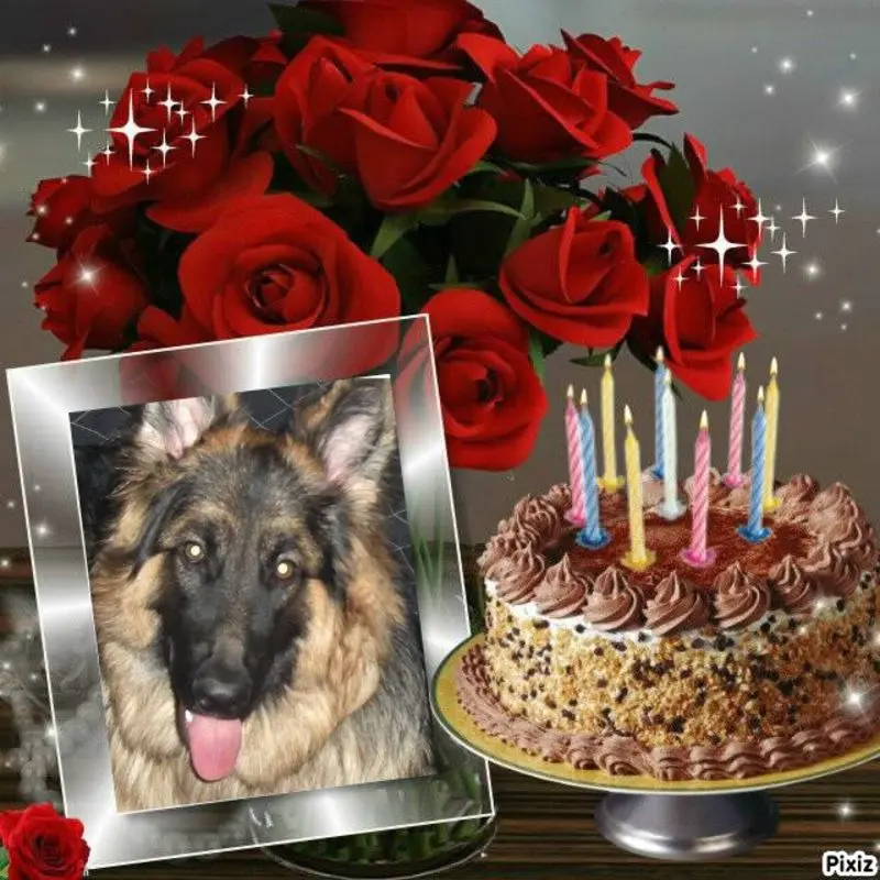 Condolence image of Happy Birthday ❤