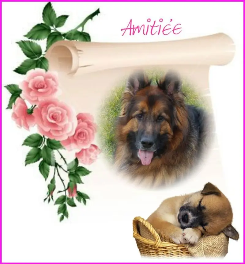 Condolence image of Dzień Dobry mój Ukochany❤️❤️❤️Misieńku❤️❤️❤️
