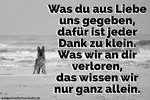Condolence image of Tanja mit Timmy im Herzen 