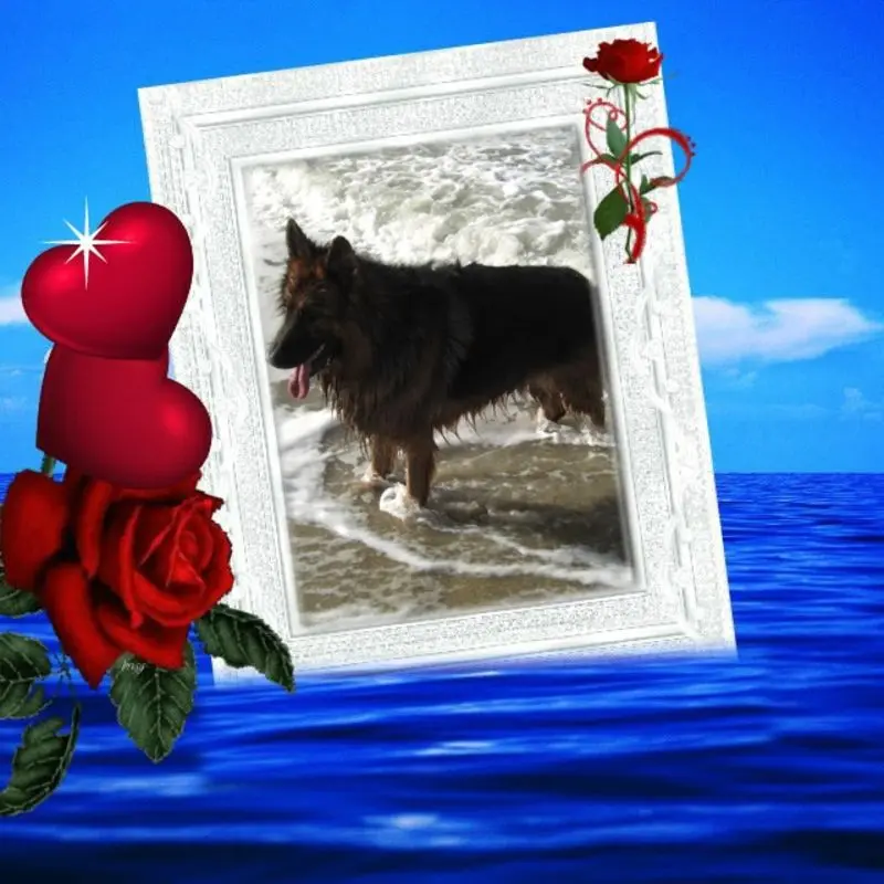 Condolence image of Dzień Dobry mój Ukochany❤️❤️❤️Misieńku❤️❤️❤️