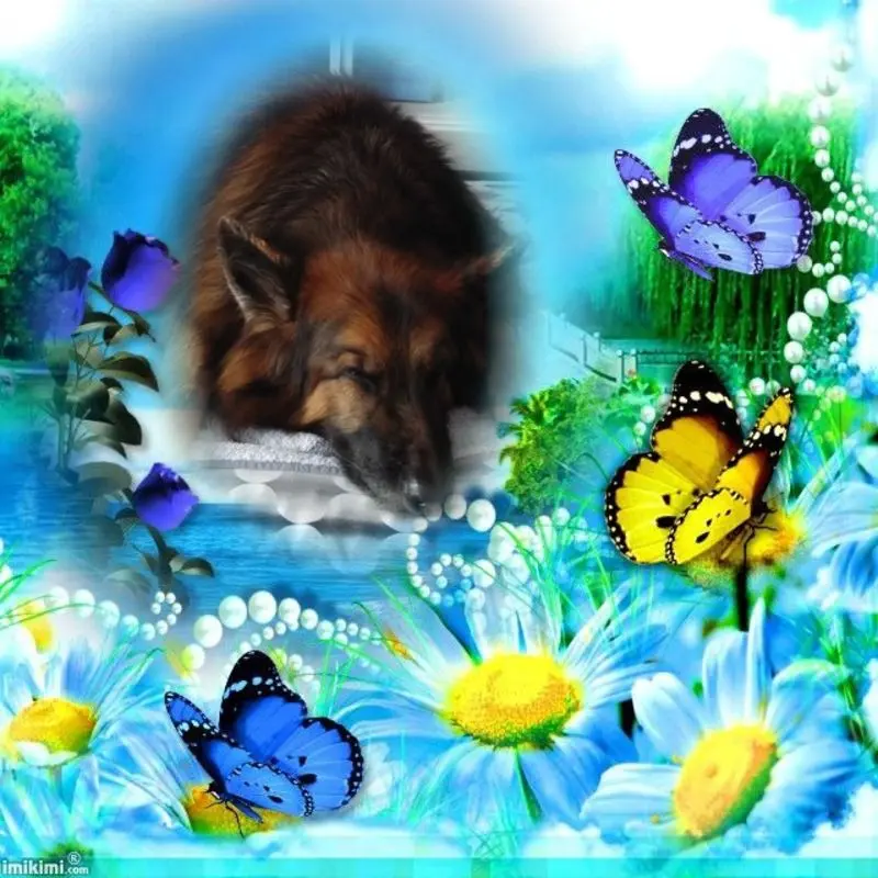 Condolence image of Dobrej Nocki Ukochany Misieńku❤️❤️❤️