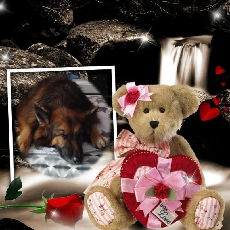 Condolence image of Dobrej Nocki Ukochany Misieńku❤️❤️❤️