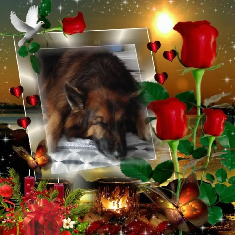 Condolence image of Dobrej Nocki Ukochany Misieńku❤️❤️❤️