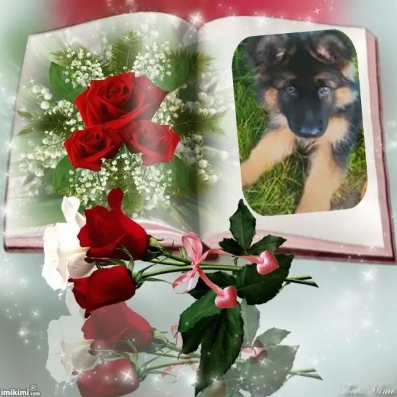 Condolence image of Dzień Dobry mój Ukochany❤️❤️❤️Misieńku❤️❤️❤️