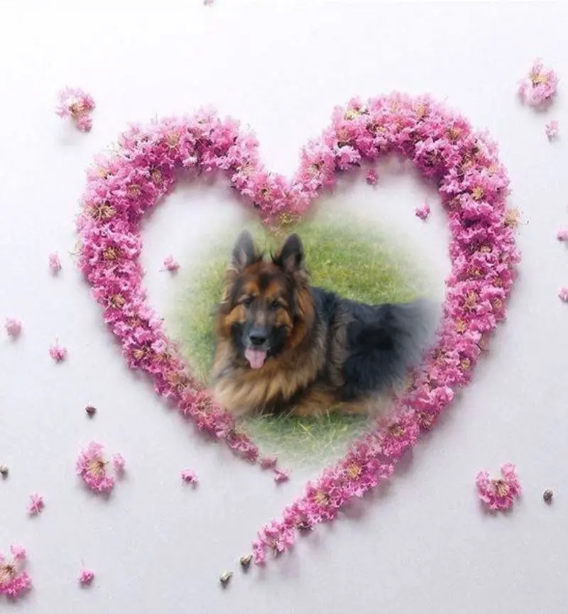 Condolence image of Dzień Dobry mój Ukochany❤️❤️❤️Misieńku❤️❤️❤️