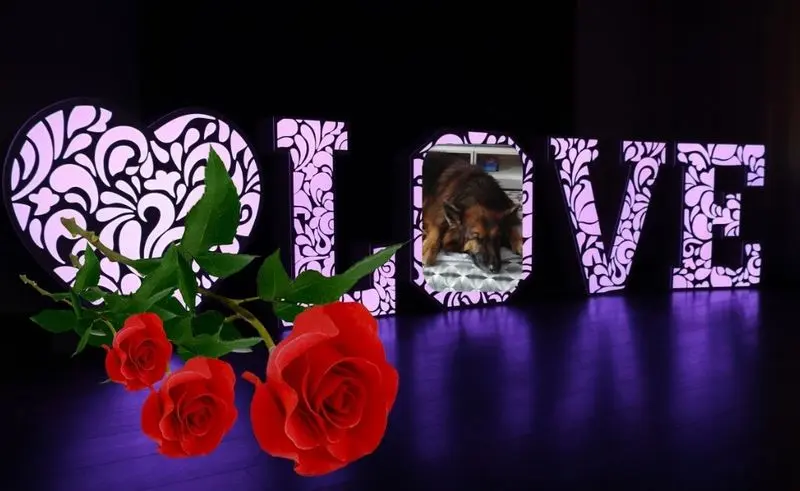 Condolence image of Dobrej Nocki Ukochany Misieńku❤️❤️❤️