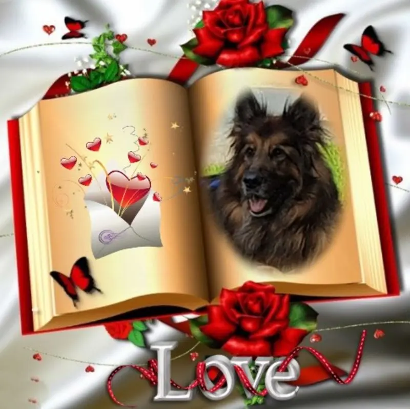 Condolence image of Dzień Dobry mój Ukochany❤️❤️❤️Misieńku❤️❤️❤️