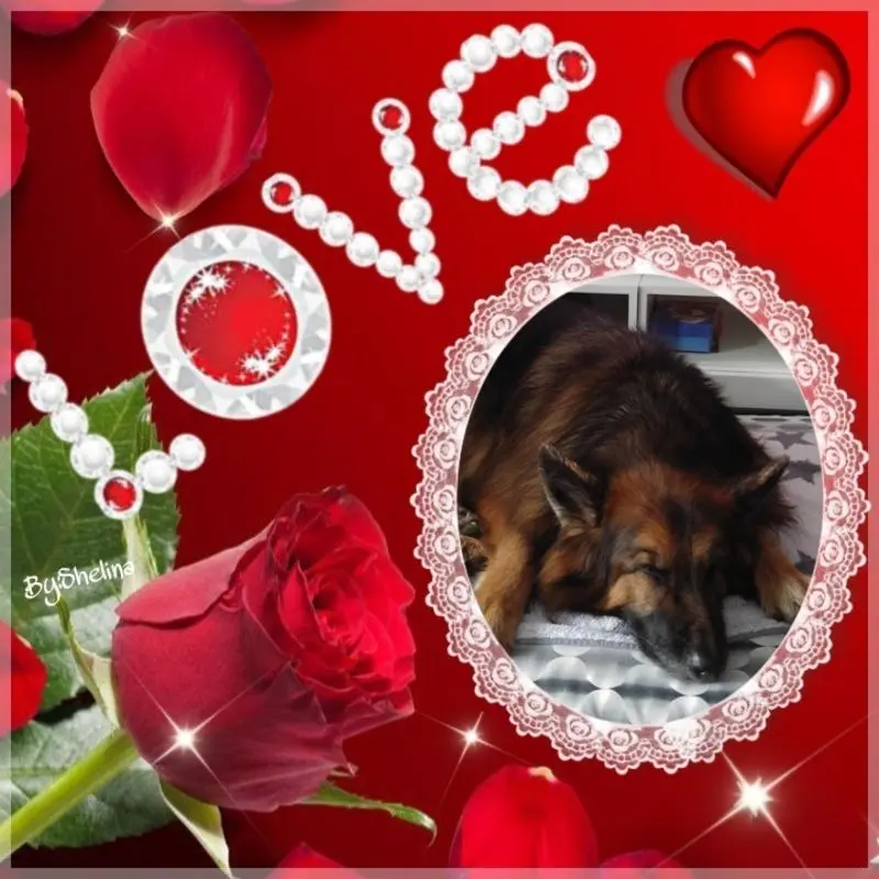 Condolence image of Dobrej Nocki Ukochany Misieńku❤️❤️❤️