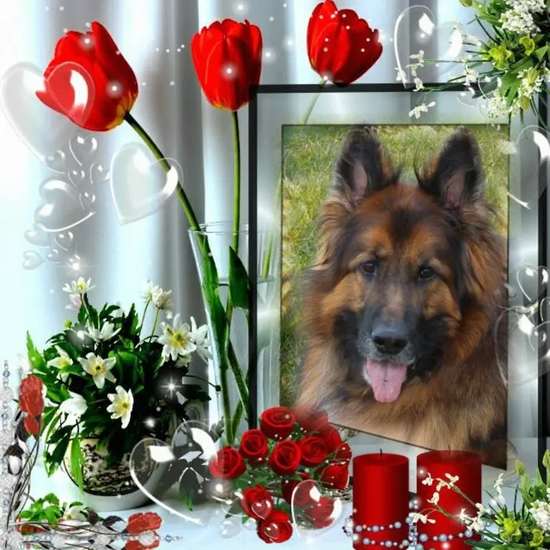 Condolence image of Dzień Dobry mój Ukochany❤️❤️❤️Misieńku❤️❤️❤️